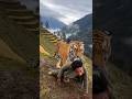 نمر يباغت رجلا في وسط الجبال هل هي النهاية Shorts 