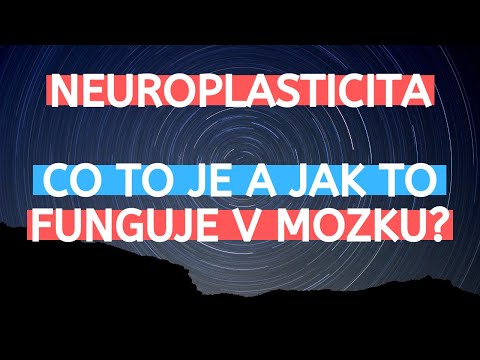 Video: Proč funguje plasticita mozku?