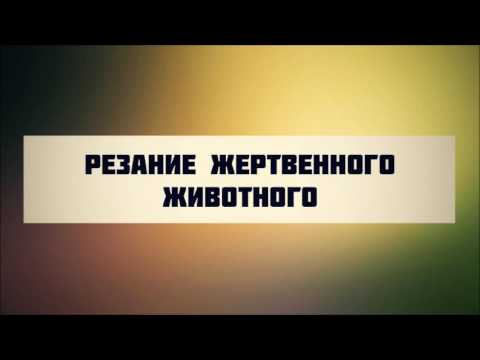 Резание жертвенного животного || Абу Яхья Крымский