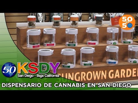 Video: Dispensario Recreativo De Alta Gama De Serra Cannabis