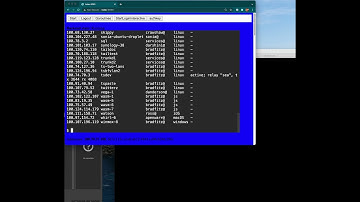 Tailscale in WASM demo