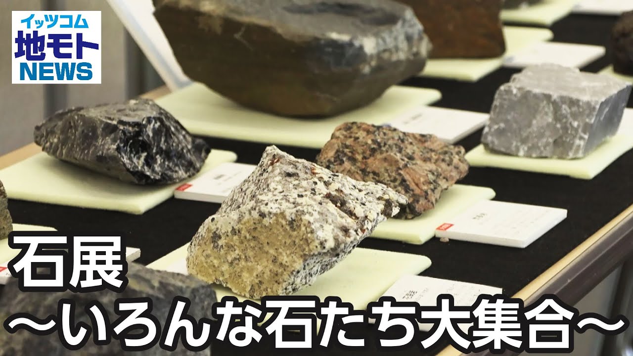 珍妙な石 なんだこれは 珍妙な石 なんだこれは チン妙な石何これ？ 美術品・アンティーク