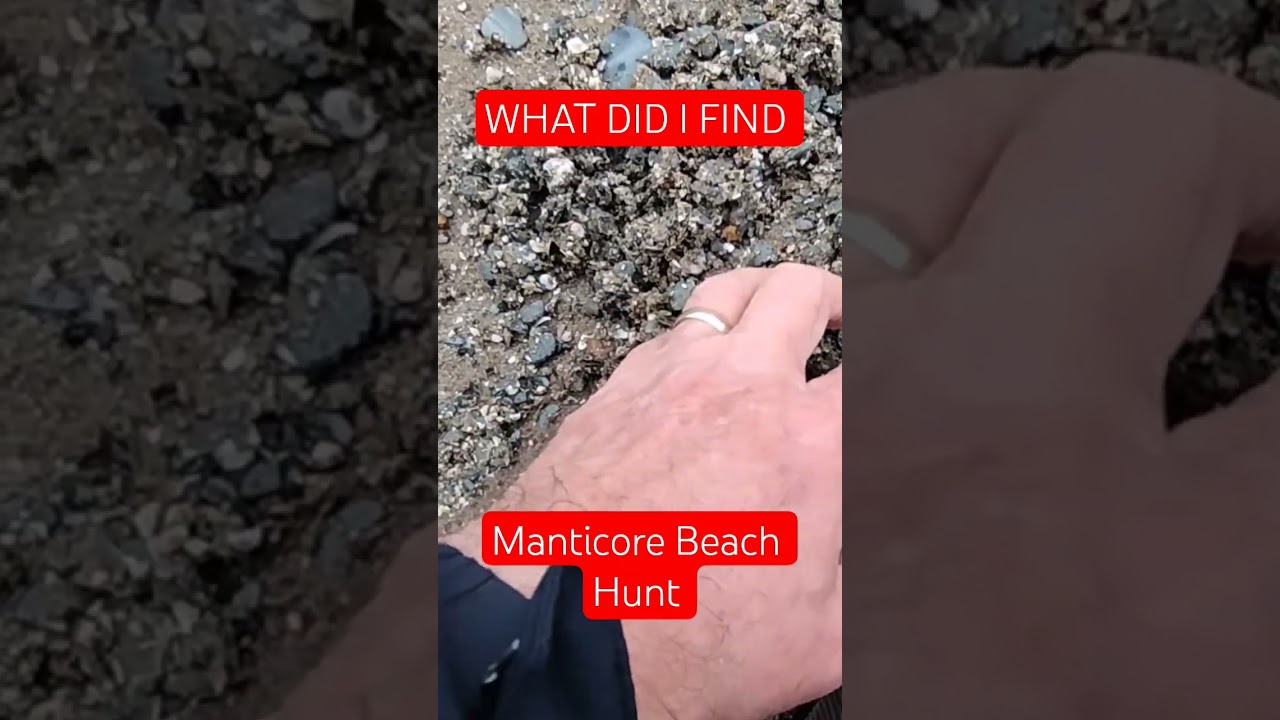 ЧТО Я НАШЕЛ? 