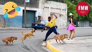 Download Lagu Funny \u0026 Hilarious People Life 😆 #484 | TRY NOT TO LAUGH CHALLENGE 😂 | Funny Videos Compilation 2025 MP3 Download Lagu Funny \u0026 Hilarious People Life 😆 #484 | TRY NOT TO LAUGH CHALLENGE 😂 | Funny Videos Compilation 2025 MP3