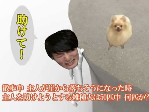 【加藤純一】加藤純一が崖から落ちそうになった時ハナちゃんは助けてくれるのか【MAD】