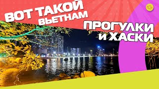  VLOG ХАСКИ ПРОГУЛКИ И ОСОБЕННОСТИ ВЬЕТНАМА 10 16 04 2022 