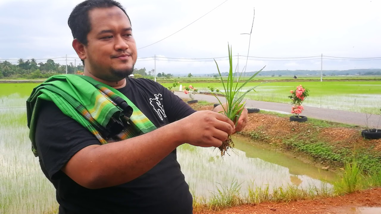 Kayap Gatal gatal di kulit Boleh ikhtiar guna ni 