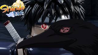 Shisui Uchiha Build Is OP | Shindo Life