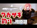 【初心者釣り女子】国内最難関級の桧原湖でワカサギ釣り！釣果はいかに…！？ですわ【紅波マダイ 2鯛目 / うおむすめ】 #釣り