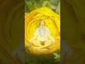 Kan man meditere sig til grundlæggende ændringer i sin bevidsthed?