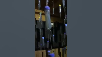 This geocache gives us NIGHTMARES 😱 #shorts