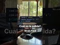 código con python? Pizza? Pissa? Piza? Piza? 🤔