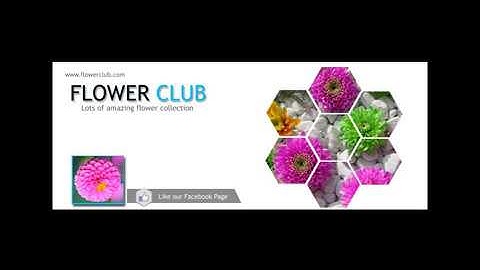 How to Create Facebook Timeline Cover page in photoshop cc cs6  Bangla Tutorial04