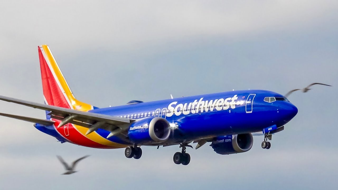 Birds on Short Final Boston Red Sox Livery Spotting TPA - YouTube
