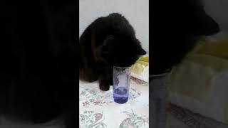 Neznate Vi Što Je Žeđ