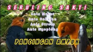 SERULING SAKTI - PANCINGAN ANIS MERAH MACET - ANIS STRES- ANIS BAKALAN AGAR CEPET PLONG - TERAPI AM