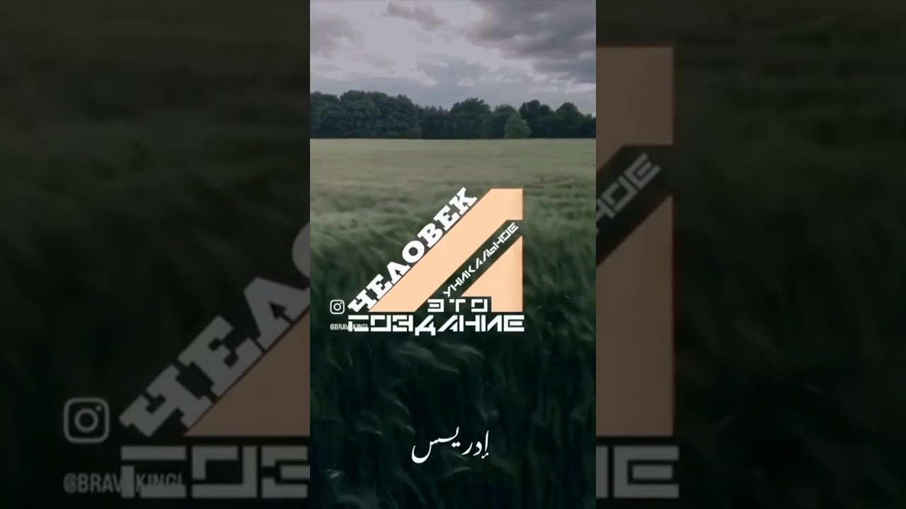 Человек уникальное создание, и вот почему.. 