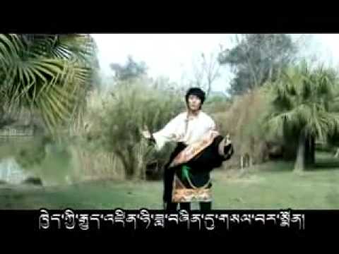 Tibetan Song | My Lama | Tashi Palden