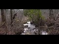 A walk around Ashmore Heritage Preserve