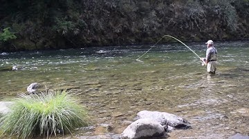 Skagit casting, Scandi Casting Sage TCX Rio Skagit Flight MOW Tip