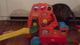 Review: VTech's "Go! Go! Smart Wheels Treasure Mountain"