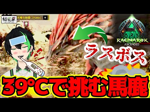 【ASA】ラグナロクのボス『ヌナタク』に梅花家で挑んだ結果【ARK: Survival Ascended】#梅花家の日常