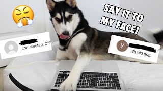 Husky REACTS to HATE Comments! (Almost BREAKS Laptop)