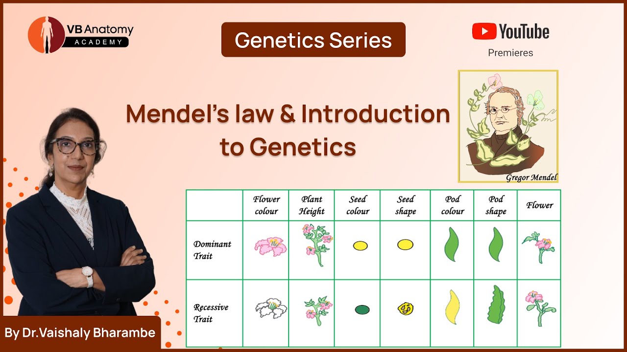 Exploring Genetics: Mendel's Laws Unveiled with Expert Insight