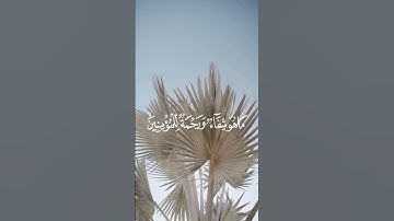 #اكسبلور #تلاوة_خاشعة #راحة_نفسية #قرآن #لايك