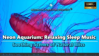 Fall Asleep Fast | Calming Jellyfish Habitat  Relaxing Music for Deep Sleep & Stress Relief