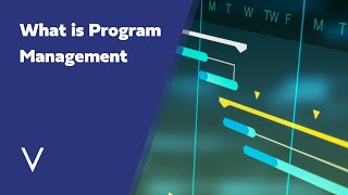 What is Program Management