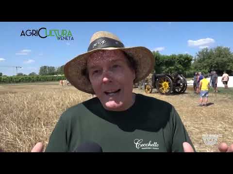 AGRICULTURA VENETA | 06/08/2022