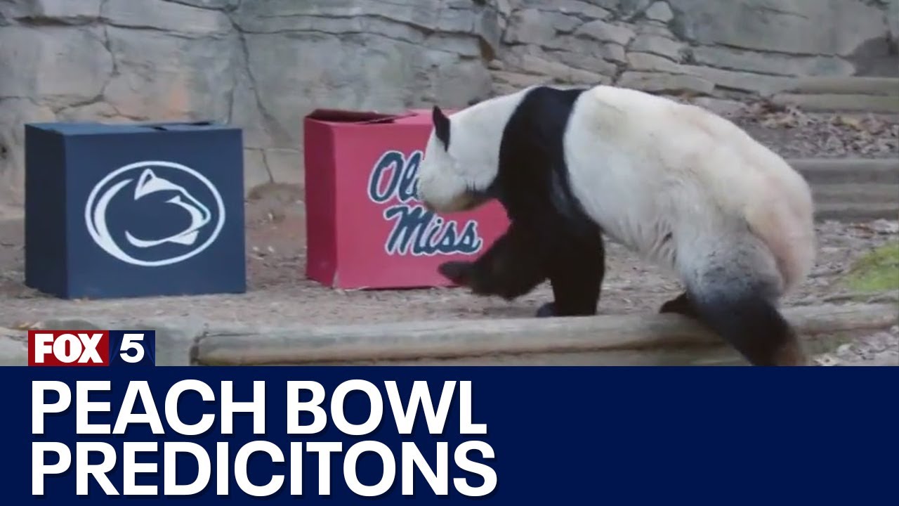 The Peach Bowl Preparation, events, predictions FOX 5 News YouTube