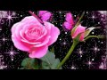 фон анимация цветы 3 .Background flowers animation .