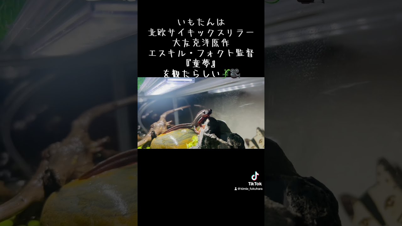 いもたんは、北欧サイキックスリラー大友克洋原作 エスキル