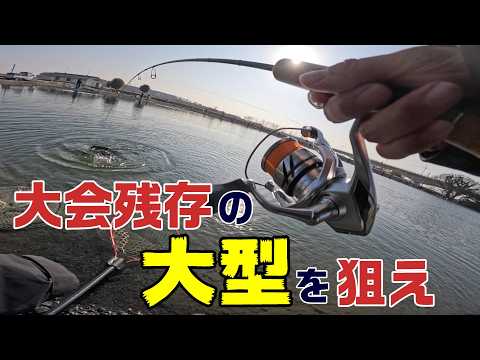 【エリアトラウト】大会後に大型ニジマスが数多く残存していると聞いたので行ってきた・・・【アルクスポンド宇都宮】