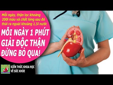 Video GIẢI ĐỘC THẬN CHỈ 1 PHÚT MỖI NGÀY ĐỪNG AI BỎ QUA KHÔNG... - youtube