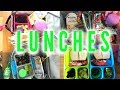 Kid's Lunch Ideas - Week 3 | Sarah Rae Vlogas |