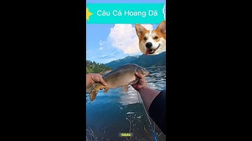 Câu Cá Hoang Dã Tự Nhiên Xem Có Gì / Phần 47 / sancatv