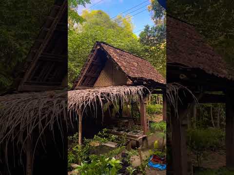 #bantusubscribe #subscribe #subscribers #subscribemychannel