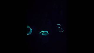 Kids with glow sticks