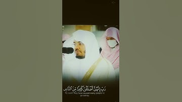 تلاوه خاشعه للشيخ ياسر الدوسري باعلي طبقات صوته