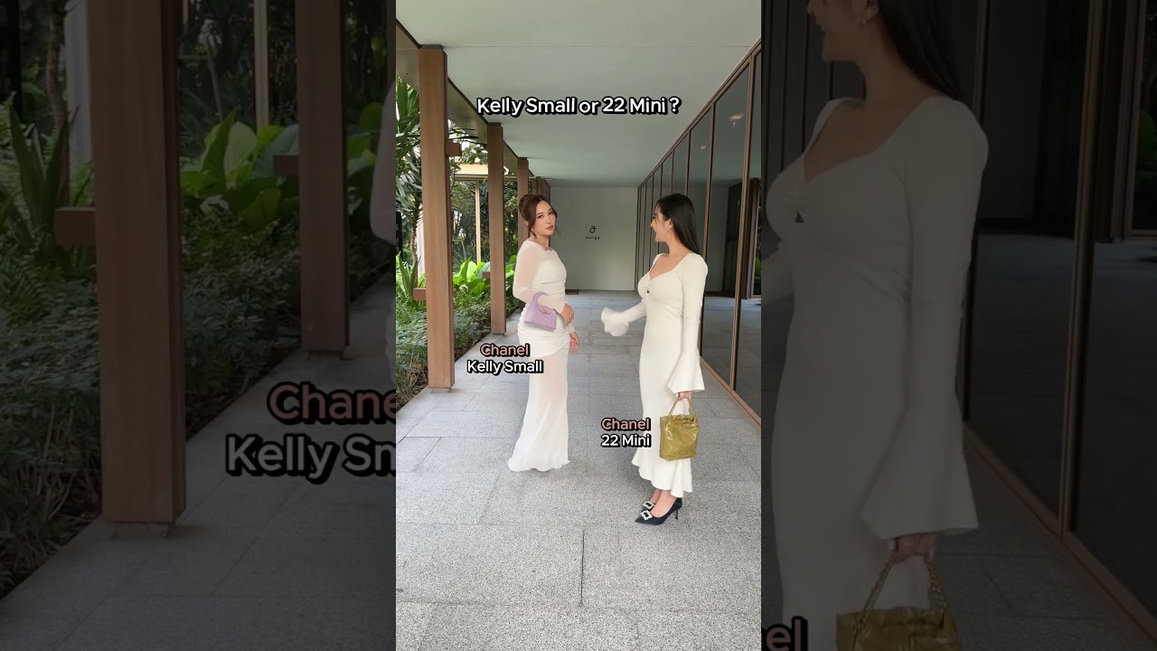 Kelly Small or 22 Mini ? 