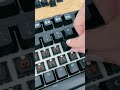 Mechanical Keyboard ASMR Sound Test (Real Talk) #shorts