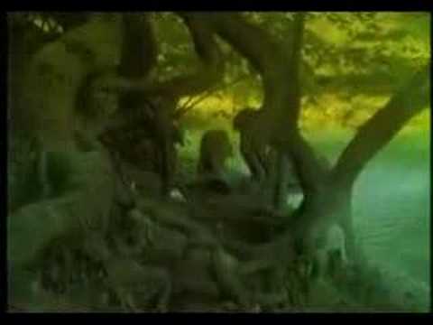 Watch Lewron Orchestra - Kwiotek on YouTube Watch Lewron Orchestra - Kwiotek on YouTube
