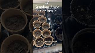 Grandona Garzen update #gardening #wellnesscentre #toronto #community