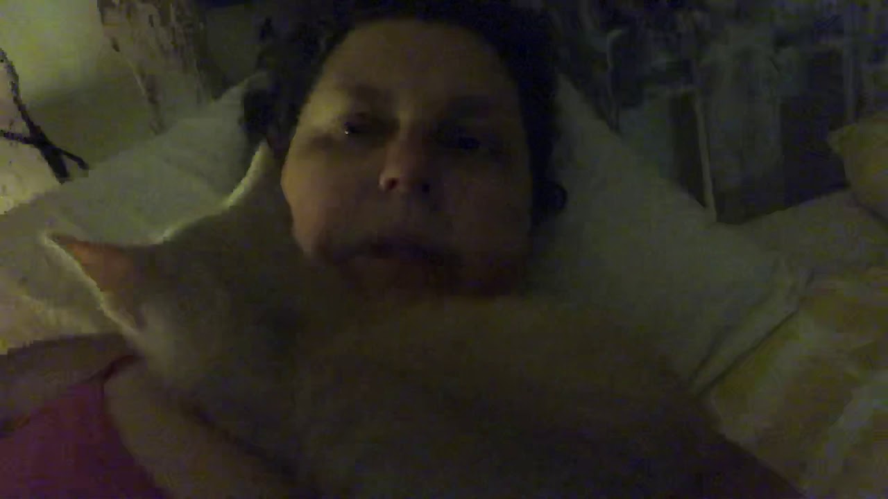 Feliway diffuser & refills