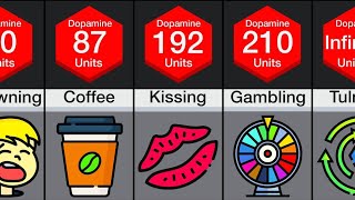 Comparison: Human Pleasure
