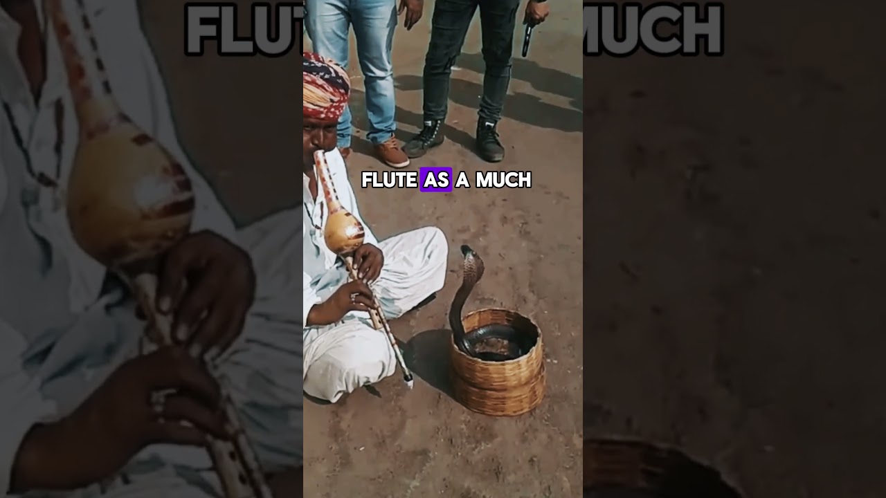 🐍 TRUTH About Snake Charming 🐍 