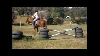 jumping Eddie- RAWS